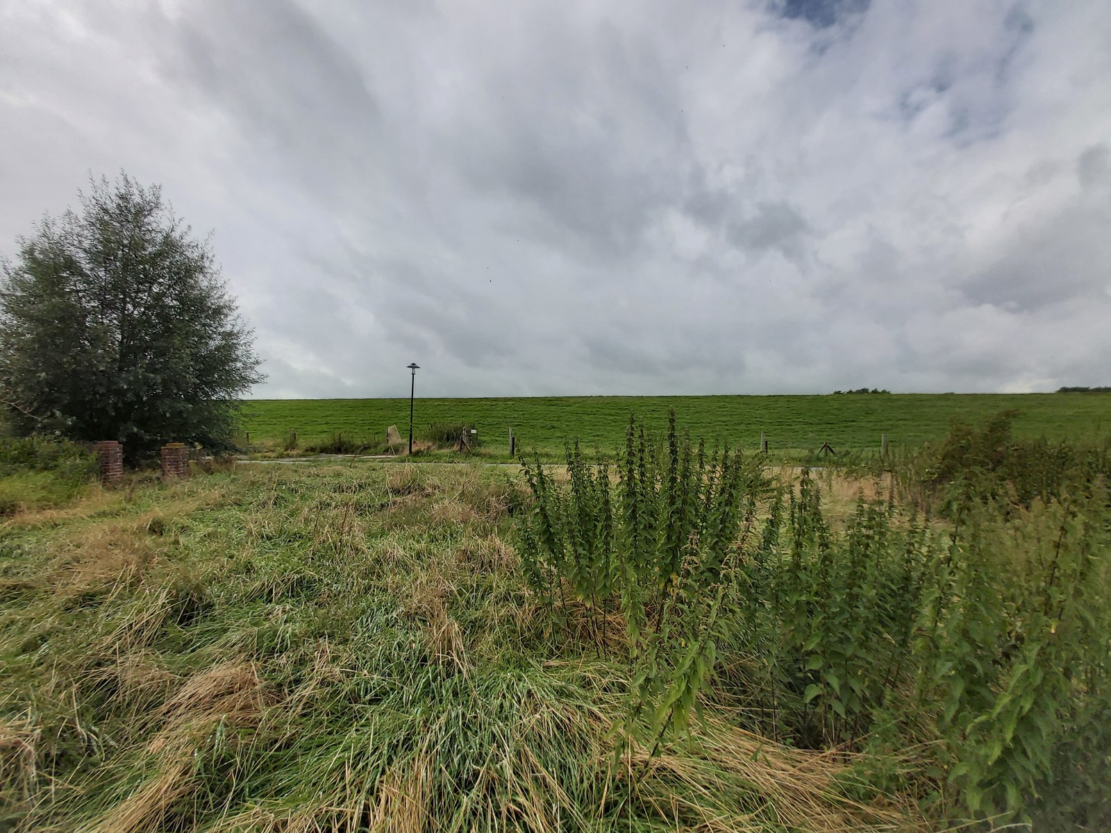 Hansa Hausbau Baugrundstück Sandstedt 02 Deichblick