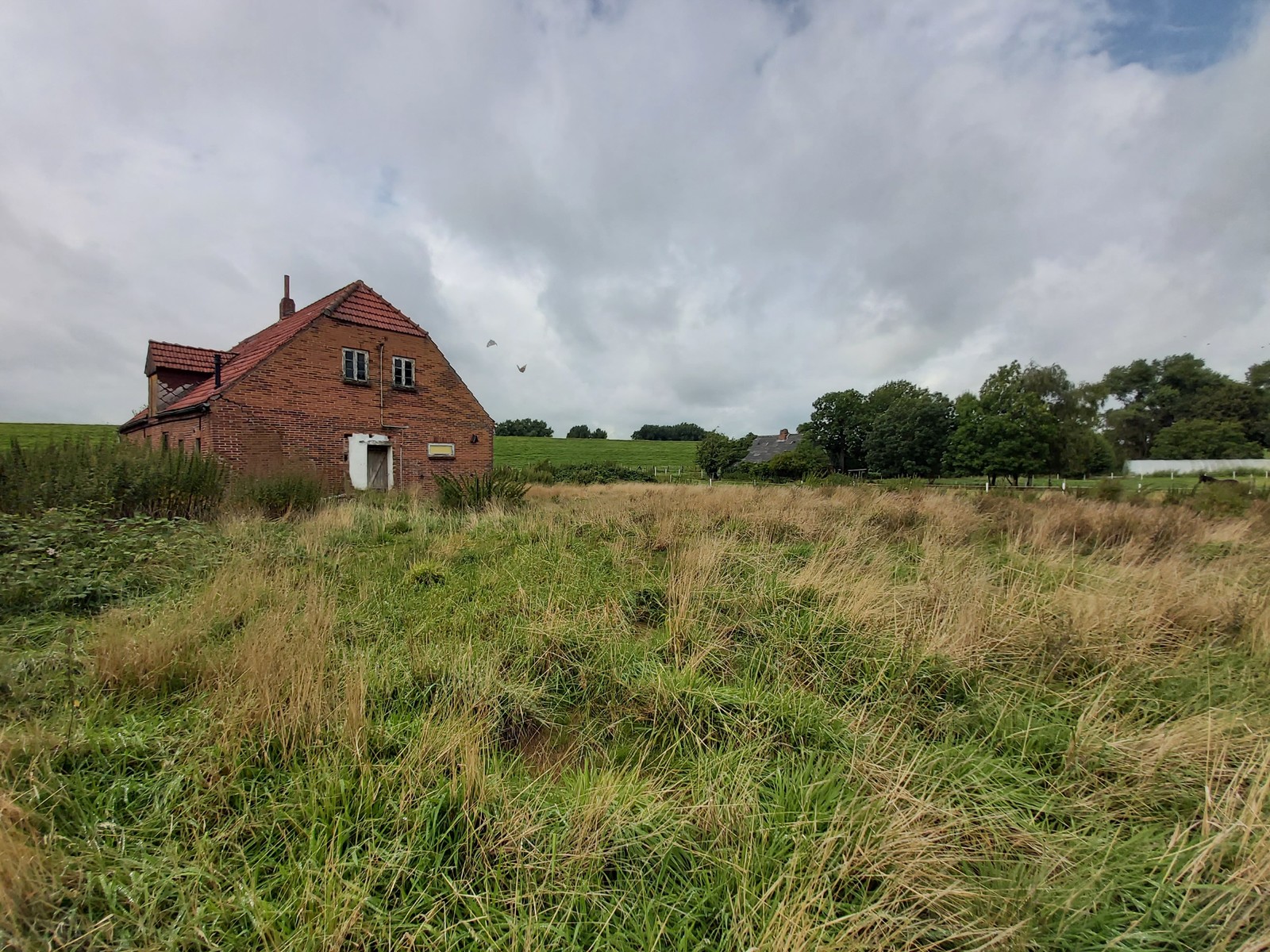 Hansa Hausbau Baugrundstück Sandstedt 06 Abrissimmobilie