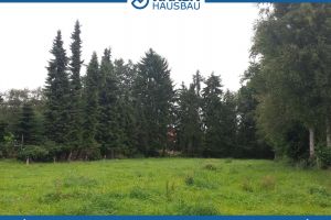 Großes Baugrundstück in Grasberg