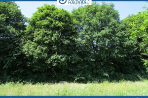 Baugrundstück am Bahnhof in Bassum