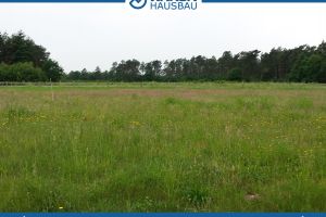 Baugebiet am Waldrand in Kirchlinteln Klein Heins