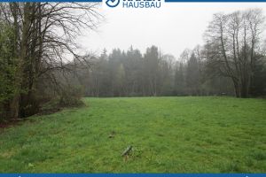 Baugrundstücke am Naturschutzgebiet in Dwoberg Ströhen