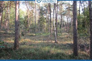 Traumhaftes Waldgrundstück in Sandhatten
